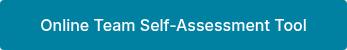 Online Team Self-Assessment Tool